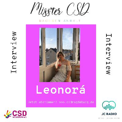Miss*ter CSD Sachsen-Anhalt 2023  #3
