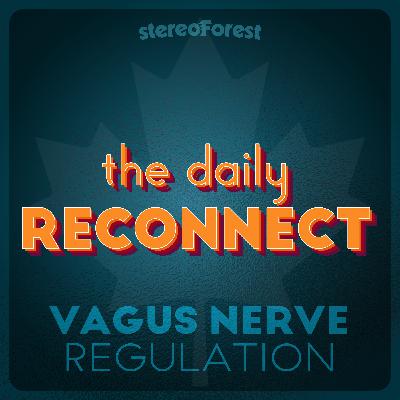 Vagus Nerve Regulation with Bilateral Stimulation & Breath