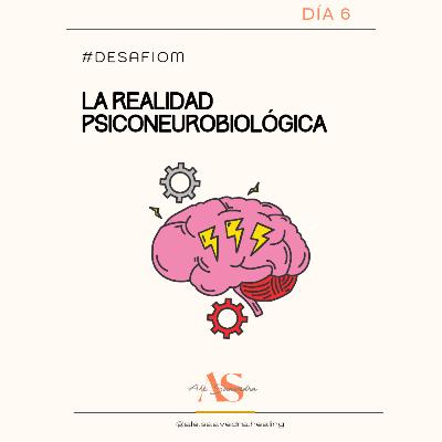 #12 Día 6: La realidad psiconeurobiológica 🧠