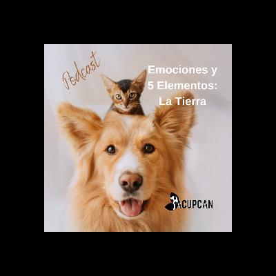 El Bazo, el centro del equilibrio y la confianza en nuestros peludos