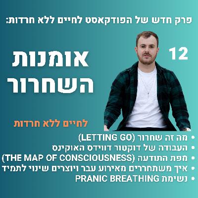 פרק 12: אומנות השחרור