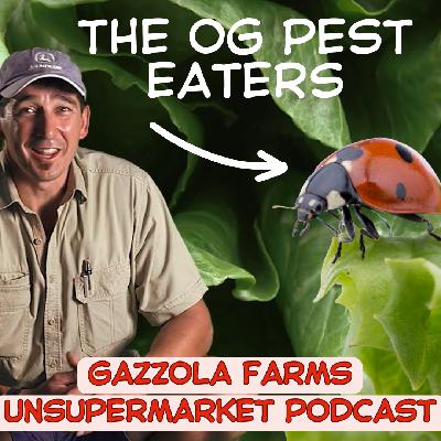 EP15: Behind the scenes with farmer Paul Gazzola - VIC