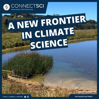 The secret life of dams: small waters shape changing climate