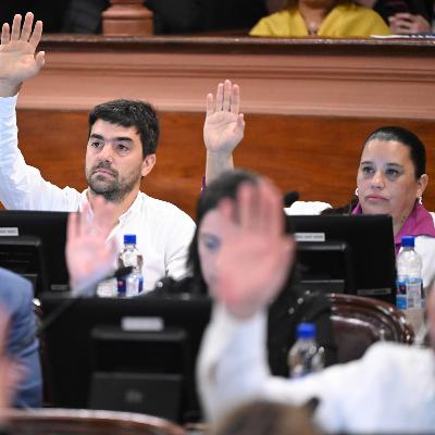 Panorama Informativo - semana del 13 al 17 de octubre