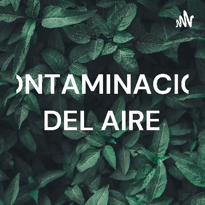CONTAMINACION DEL AIRE