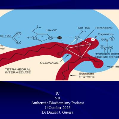 ISCHS VII Authentic Biochemistry Podcast 14October 2025 Dr Daniel J. Guerra