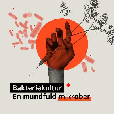 #1 En mundfuld mikrober