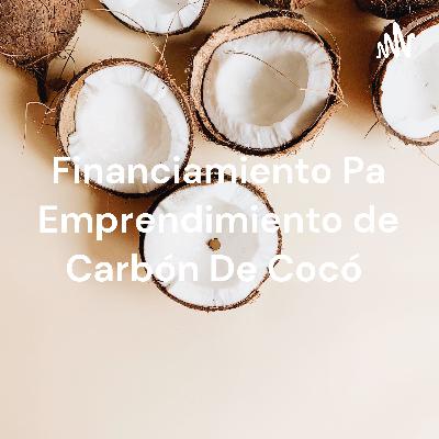 La manera de escoger un tipo de financiamiento para tu emprendimiento