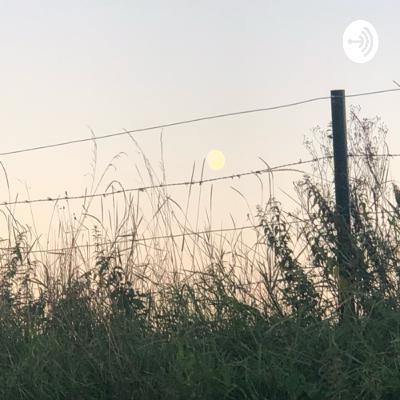 Lebensverändernde Erkenntnisse, Veganuary, Online-Schule, Zoom-Pranks und meine neue Lieblingsserie