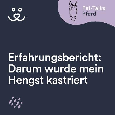 Erfahrungsbericht: So hat mein Hengst die Kastration überstanden