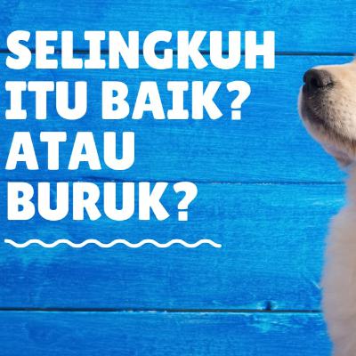 Eps 18. Selingkuh itu baik atau buruk??