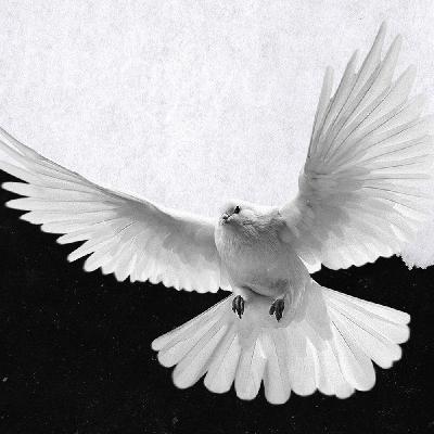 Unseen: "Your Most Powerful Weapon" Unseen: "Your Most Powerful Weapon"