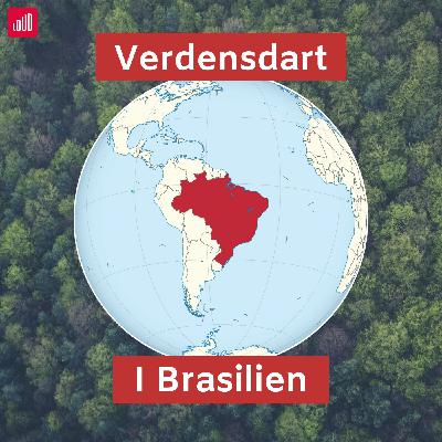 I Brasilien