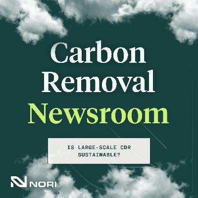 Is Large-Scale CDR Sustainable?