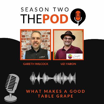 Ep.28- What makes a good table grape Ep.28- What makes a good table grape