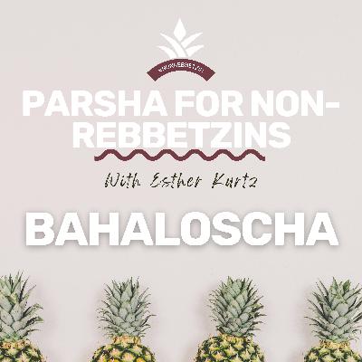 Parshas Bahaloscha