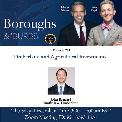 Timberland Investments | Boroughs & Burbs Ep. 211