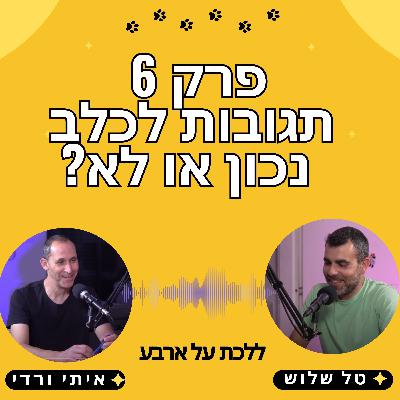 פרק 6 - איך תגובות לכלב מעצימות בעיות התנהגות? - טל שלוש ואיתי ורדי אילוף כלבים בפודקאסט ללכת על ארבע פרק 6 - איך תגובות לכלב מעצימות בעיות התנהגות? - טל שלוש ואיתי ורדי אילוף כלבים בפודקאסט ללכת על ארבע