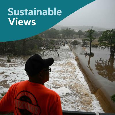 Are we insured against future climate change damage?