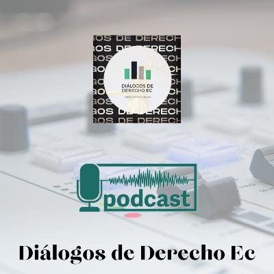 PANEL ACADÉMICO EN DIÁLOGOS DE DERECHO EC (PROGRAMACIÓN ESPECIAL)