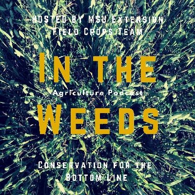 In the Weeds: Conservation for the bottom line