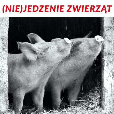 O (nie)jedzeniu zwierząt. Rozmowa wokół filmu GUNDA na festiwalu NOWE HORYZONTY