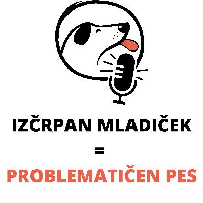 Utrujen mladiček = problematičen pes Utrujen mladiček = problematičen pes