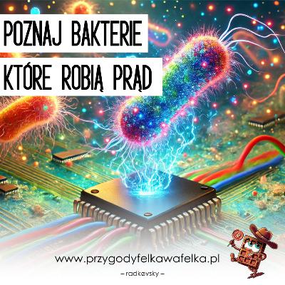 Bakterie robią prąd? ⚡ nauka dla dzieci | Słodka Nauka (SNF_014)