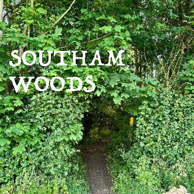 Sleeping Beneath the Stars: Thoreau, Simplicity & the Sacred Ordinary Sleeping Beneath the Stars: Thoreau, Simplicity & the Sacred Ordinary