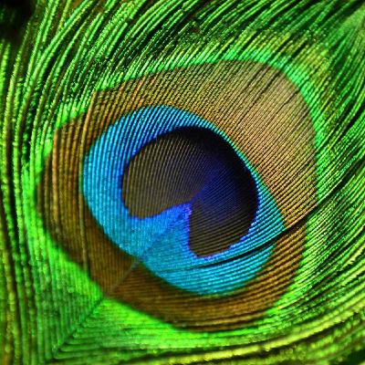 131: How new color 'olo' stretches the limits of human perception