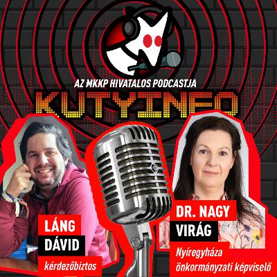 A Fidesz kiröhögött, az ellenzék azt mondta, szálljunk le a magas lóról | Kutyinfo: Dr. Nagy Virág