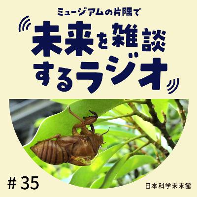 #35 自由研究、何してた？ ①セミとごみ拾い