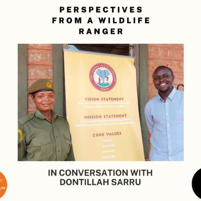 Perspectives From A Wildlife Ranger With Dontillah Sarru
