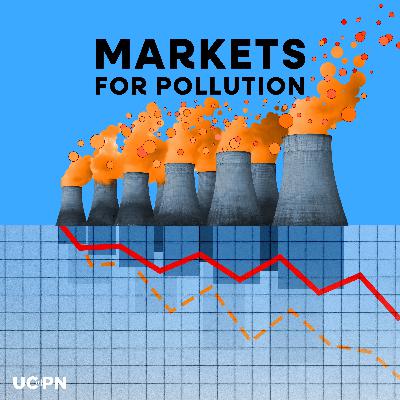 Markets for Pollution