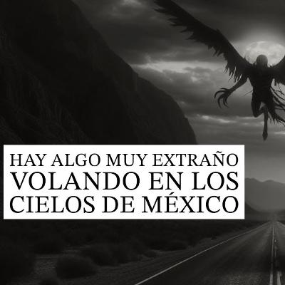 4 Historias paranormales: Duendes, un ser de fantasía, una persona extraña y un ser alado.