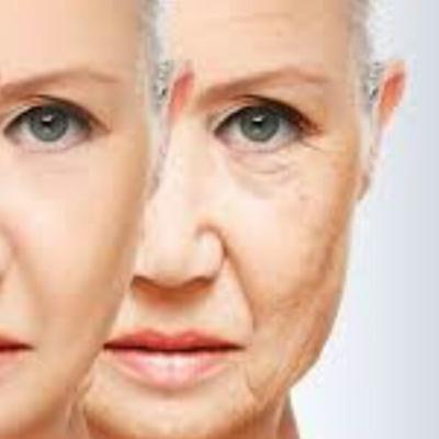 PDP Josefina Lanzi PDP Josefina Lanzi