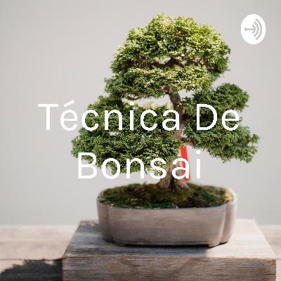 Técnicas de bonsai