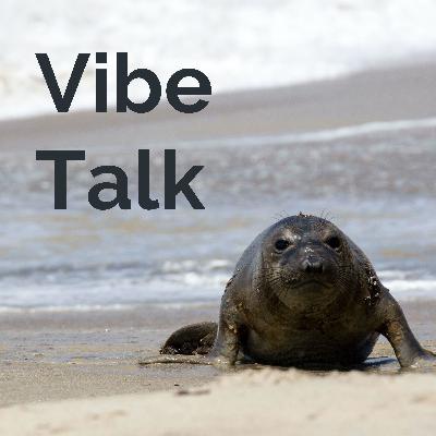 Episode 1: Social Comments and Hypothetical Situations