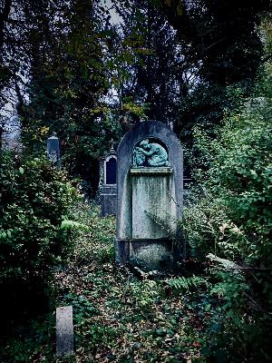 EP 245  The Death of the Old Self