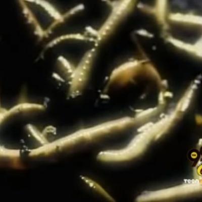 Bonus Episode - Cry Baby Lane, Part 1 Bonus Episode - Cry Baby Lane, Part 1