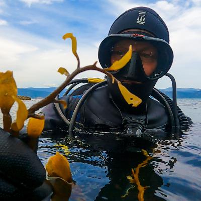 Nicole Miller on filming underwater forests, her new seaweed documentary, and championing our oceans