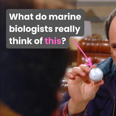 eDNA is transforming how we research our oceans | Ascend Your Story