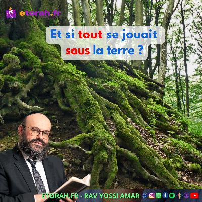 Tou bichevat: Des fruits, oui… mais qui nourrit votre racine ? Et si tout se jouait sous la terre ? Tou bichevat: Des fruits, oui… mais qui nourrit votre racine ? Et si tout se jouait sous la terre ?