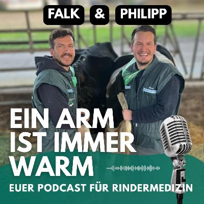 Bettgeschichten
