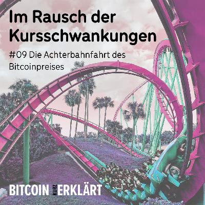 #09 Die Achterbahnfahrt des Bitcoinpreises