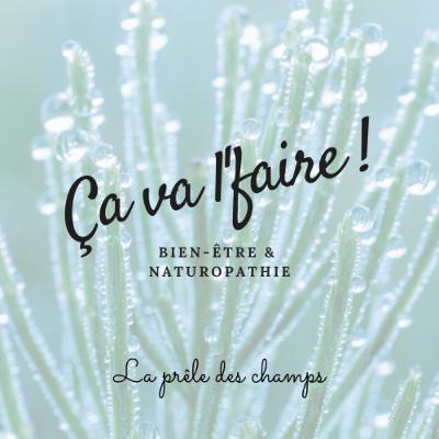 Épisode 5 - Découvrez les propretés de la prêle des champs