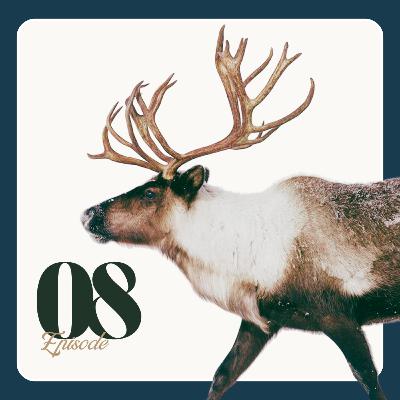 Caribou Cafeteria: Can Supplemental Feeding Save Declining Populations with Doug Heard | Ep 08