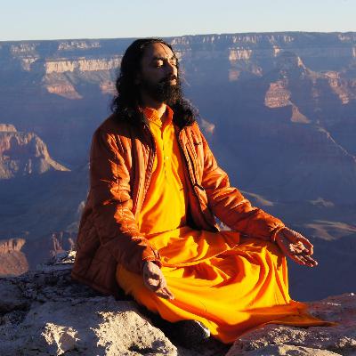 Finding 1 Reason To Wake Up Early Morning | Purpose of Life Day 2 By Swami Mukundananda Finding 1 Reason To Wake Up Early Morning | Purpose of Life Day 2 By Swami Mukundananda