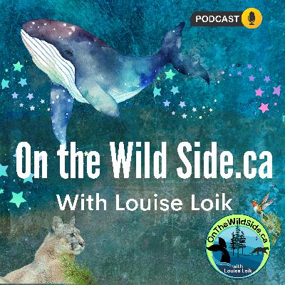 Living in Cougar Country