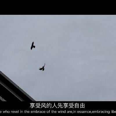 TA出生了,在这个好吵的时代。 TA出生了,在这个好吵的时代。